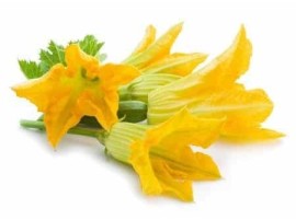 Fiori di Zucca biologici