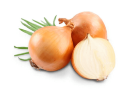 Cipolla dorata bio (BRUTTAMABUONA)