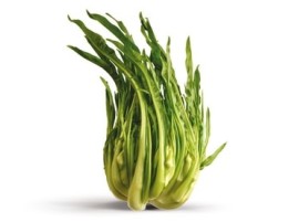 Puntarelle biologiche