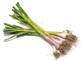 Aglio fresco biologico