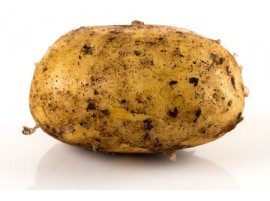 Patate Biologiche