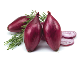 Cipolla Rossa var. Tropea Biologica