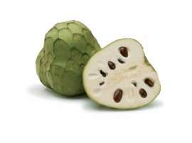Annona siciliana biologica
