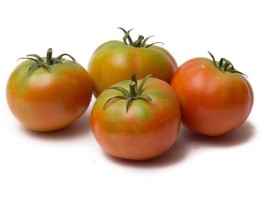 Pomodoro tondo insalataro biologico
