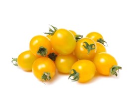 Pomodoro Datterino Giallo Biologico