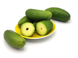 Avocado Siciliano Biologico PICCOLO SENZA SEME