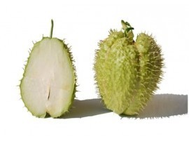 Zucca Chayote bio