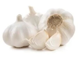 Aglio Biologico
