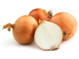 Cipolla dorata Biologica