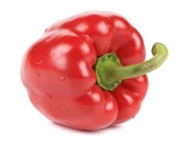 Peperone Quadrato Rosso bio