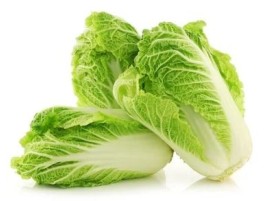 Cavolo Cinese biologico