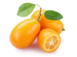 Kumquat Biologico