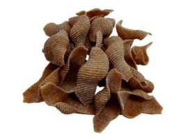 Conchiglioni integrali di grano antico "TIMILIA"