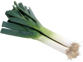 Porro biologico