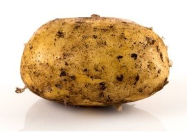 Patata novella Biologico