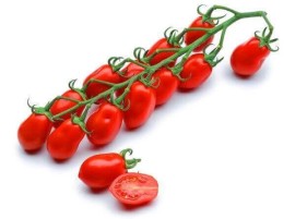 Pomodoro Datterino Biologico