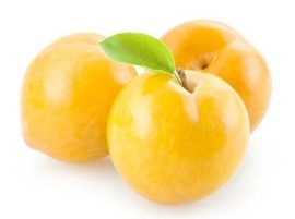 Susine Gialle Bio