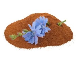 Cicoria Biologica