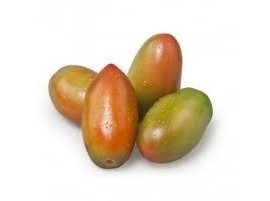 Pomodoro Insalataro Bio (BRUTTOMABUONO)