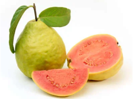 guava siciliana biologica