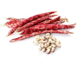 Fagioli Borlotti Freschi Biologici