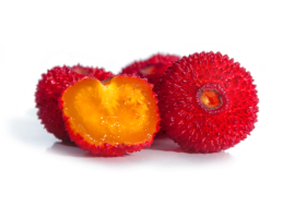 corbezzoli biologici frutto vendita online