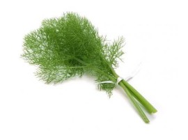 Finocchietto biologico 100gr