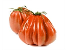 Pomodoro cuore di bue biologico