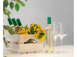 Kit 6 PZ Vino Inzolia Biologico