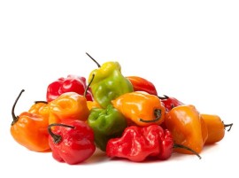 Peperoncino Habanero Biologico