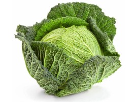 Cavolo verza biologico