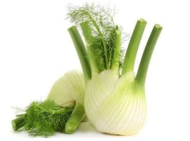 Finocchio biologico