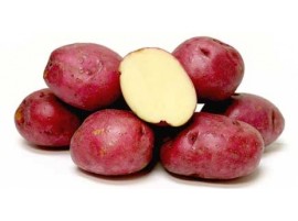 Patate Rosse Biologiche (BRUTTEMABUONE)