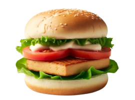 Burger di Tofu Bio