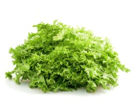Indivia riccia bio