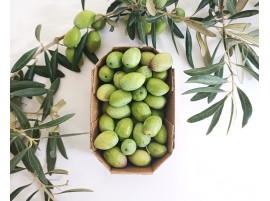 Olive Biologiche in Vendita Online - Olive Verdi Bio