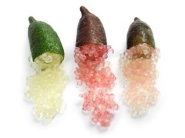 Limone Caviale Siciliano Biologico in Vendita Online | Paniere Bio