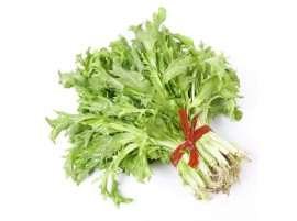 Indivia scarola biologica 1pz