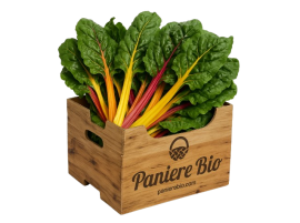 Vendita online Bietola Colorata biologica