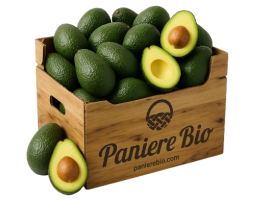 Cassetta da 6 KG di Avocado biologico