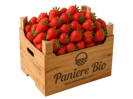 Cassetta Fragole Biologiche