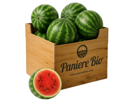 Vendita online mini angurie biologiche