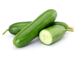 Cetriolo biologico