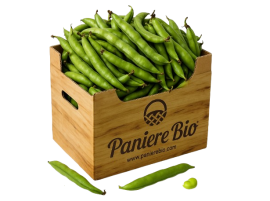Vendita online Fave Fresche Biologiche