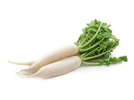 Daikon bio
