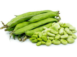 Fave Fresche Biologiche 500gr