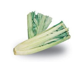 Cardo (carciofo selvatico) Biologico
