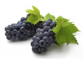 Uva nera bio