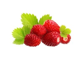Fragoline Bio