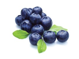 Mirtilli biologici